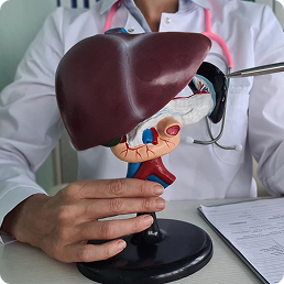 Liver Transplant