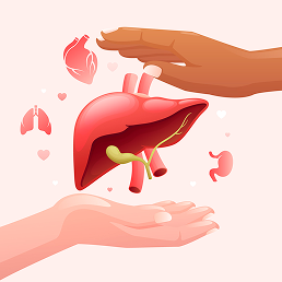 Living Donor Transplant