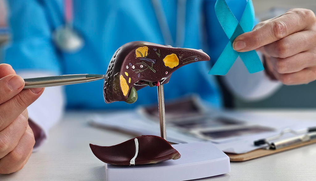 Monosegment Liver Transplant
