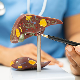 Liver Pathalogy
