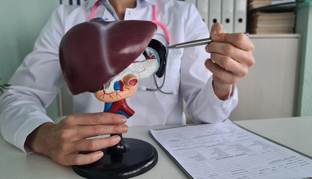 Cadaver liver transplants