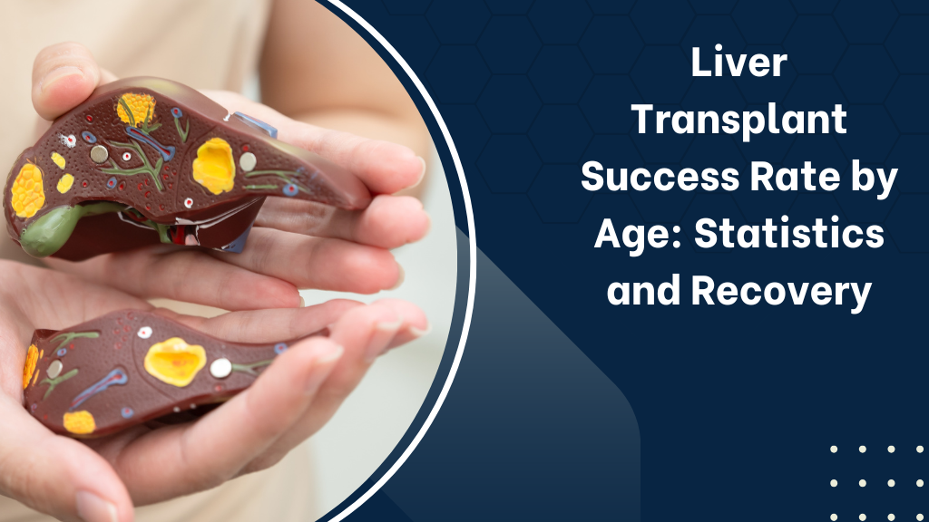 Liver Transplant Success Rate by Age: Statistics and Recovery
