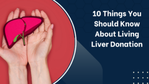 10 Things You Should Know About Living Liver Donation