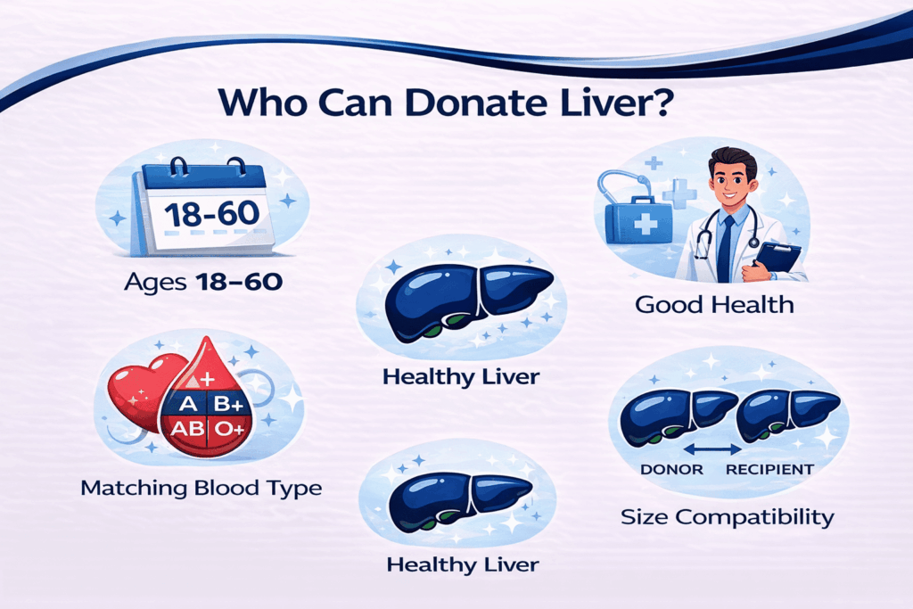 who can donate liver