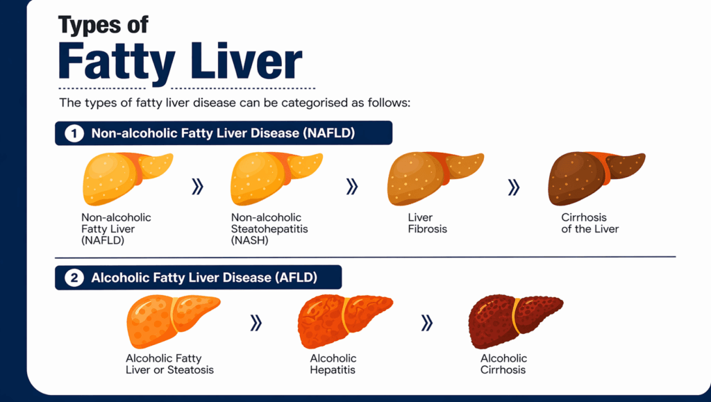 types of fatty liver