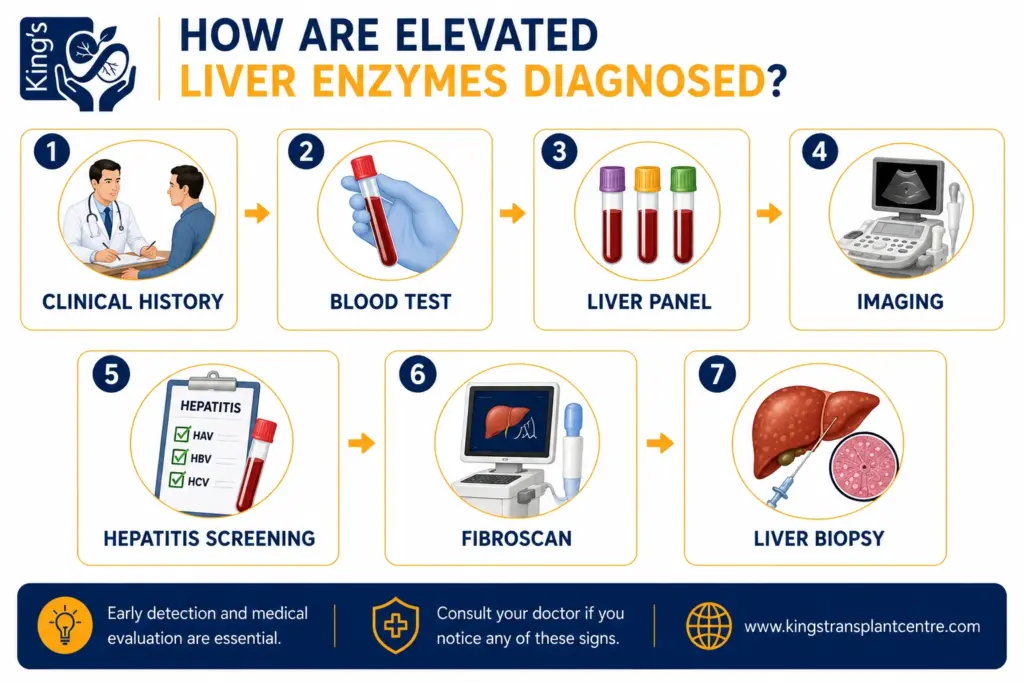 elevated liver enzymes causes