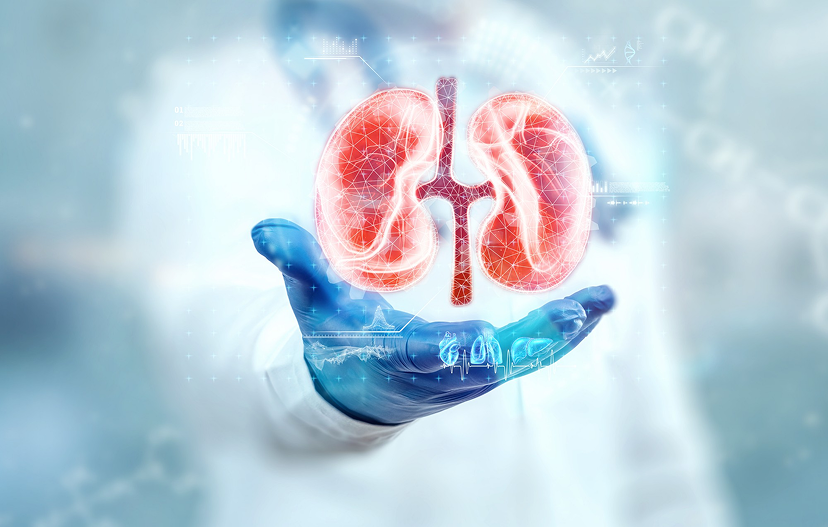 Renal Biopsy