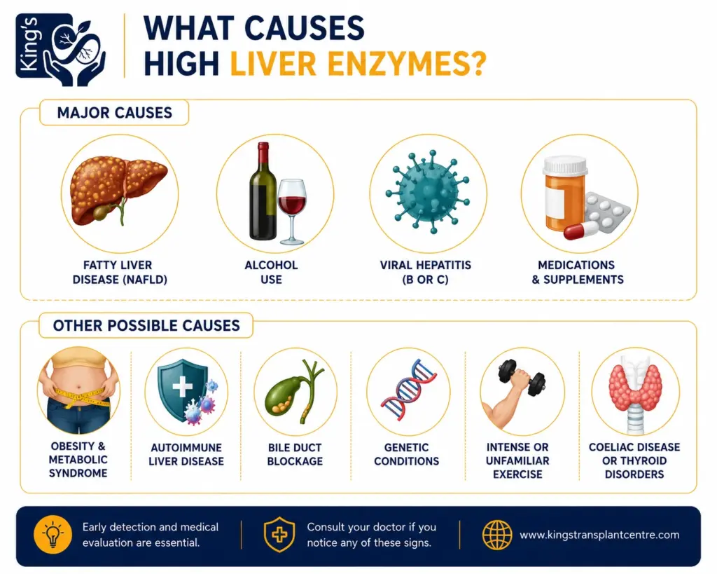 what causes high liver enzymes